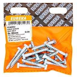 1CA20 - Coach Screw